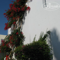 фото из отзыва ID 737916