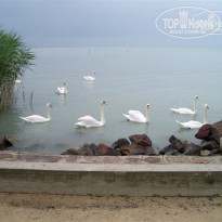 фото из отзыва ID 73737