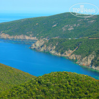 фото из отзыва ID 737009