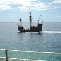 фото из отзыва ID 737049