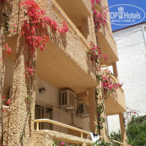 фото из отзыва ID 737168