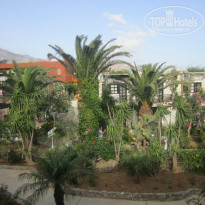 фото из отзыва ID 737339