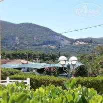 фото из отзыва ID 737346