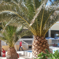 фото из отзыва ID 737346