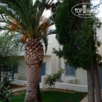 фото из отзыва ID 737426