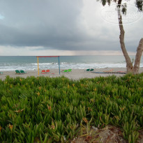 фото из отзыва ID 737426