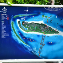 фото из отзыва ID 737487