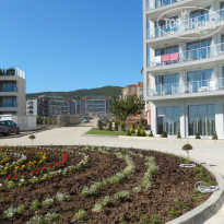 фото из отзыва ID 737634