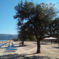 фото из отзыва ID 737684