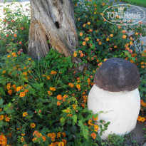 фото из отзыва ID 737684