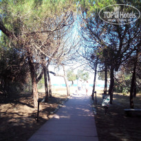 фото из отзыва ID 737684