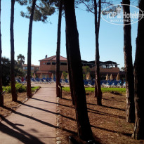 фото из отзыва ID 737684