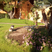 фото из отзыва ID 737684