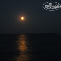 фото из отзыва ID 737794