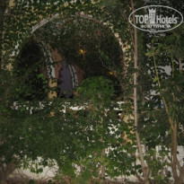 фото из отзыва ID 73856