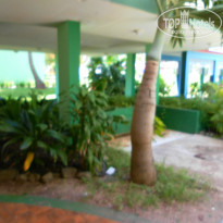 фото из отзыва ID 738150