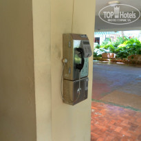 фото из отзыва ID 738150