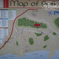 фото из отзыва ID 738353