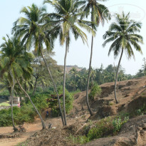 фото из отзыва ID 738657