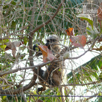 фото из отзыва ID 738657