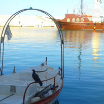 фото из отзыва ID 738771