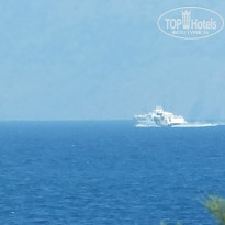 фото из отзыва ID 738809