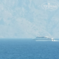 фото из отзыва ID 738809