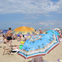 фото из отзыва ID 739279