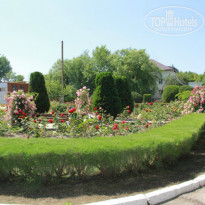 фото из отзыва ID 739402