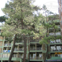 фото из отзыва ID 739408