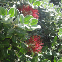 фото из отзыва ID 739460