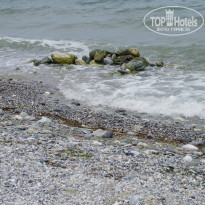 фото из отзыва ID 739464