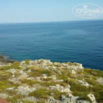 фото из отзыва ID 739509