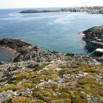 фото из отзыва ID 739509