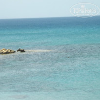 фото из отзыва ID 739545