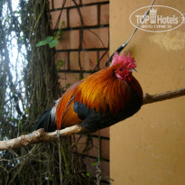 фото из отзыва ID 739612