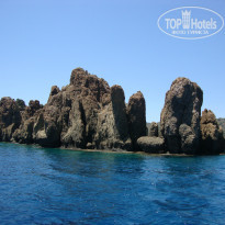 фото из отзыва ID 739679