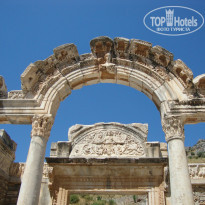 фото из отзыва ID 739679