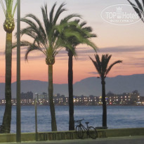 фото из отзыва ID 739713