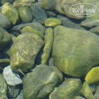 фото из отзыва ID 739464