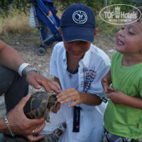 фото из отзыва ID 739464