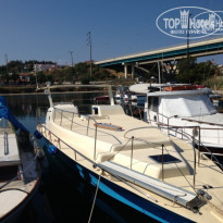 фото из отзыва ID 739013