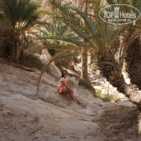 фото из отзыва ID 739898