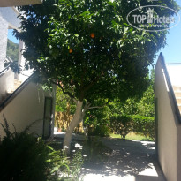 фото из отзыва ID 739113