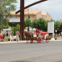 фото из отзыва ID 739144