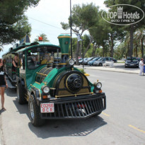 фото из отзыва ID 739144