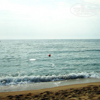 фото из отзыва ID 740124