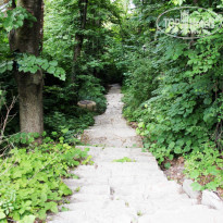 фото из отзыва ID 740144