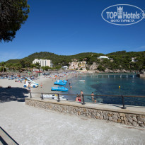 фото из отзыва ID 740181