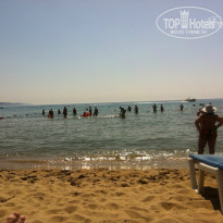 фото из отзыва ID 740391